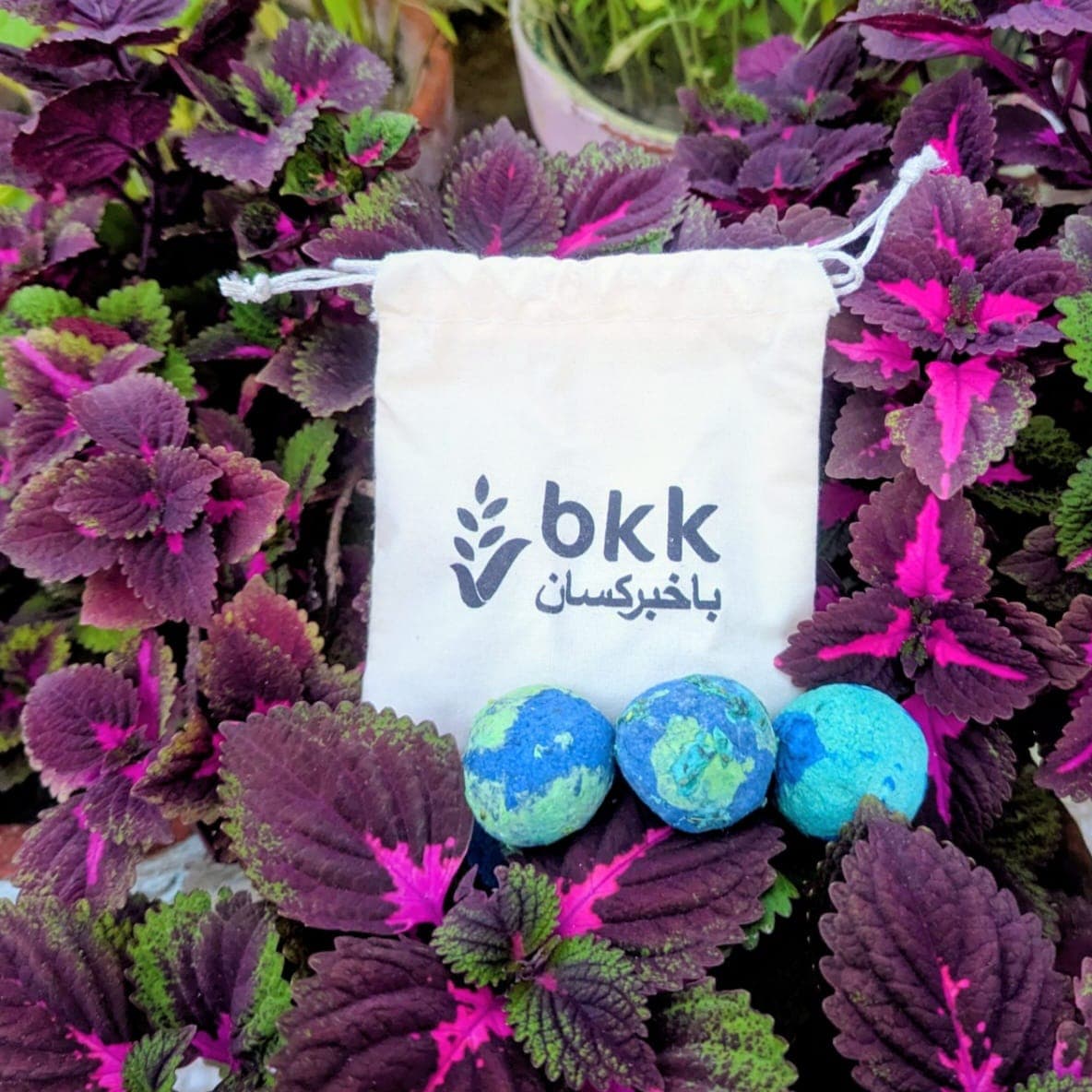 Bakhabar Kissan (BKK) — New Year CSR Kit — image 2