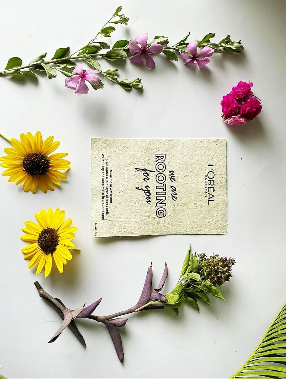 L'Oréal Pakistan — Plantable seed-paper cards