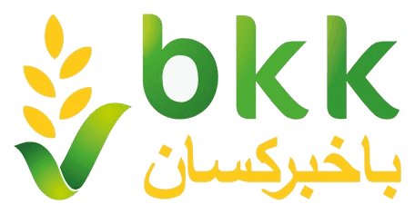 BKK logo