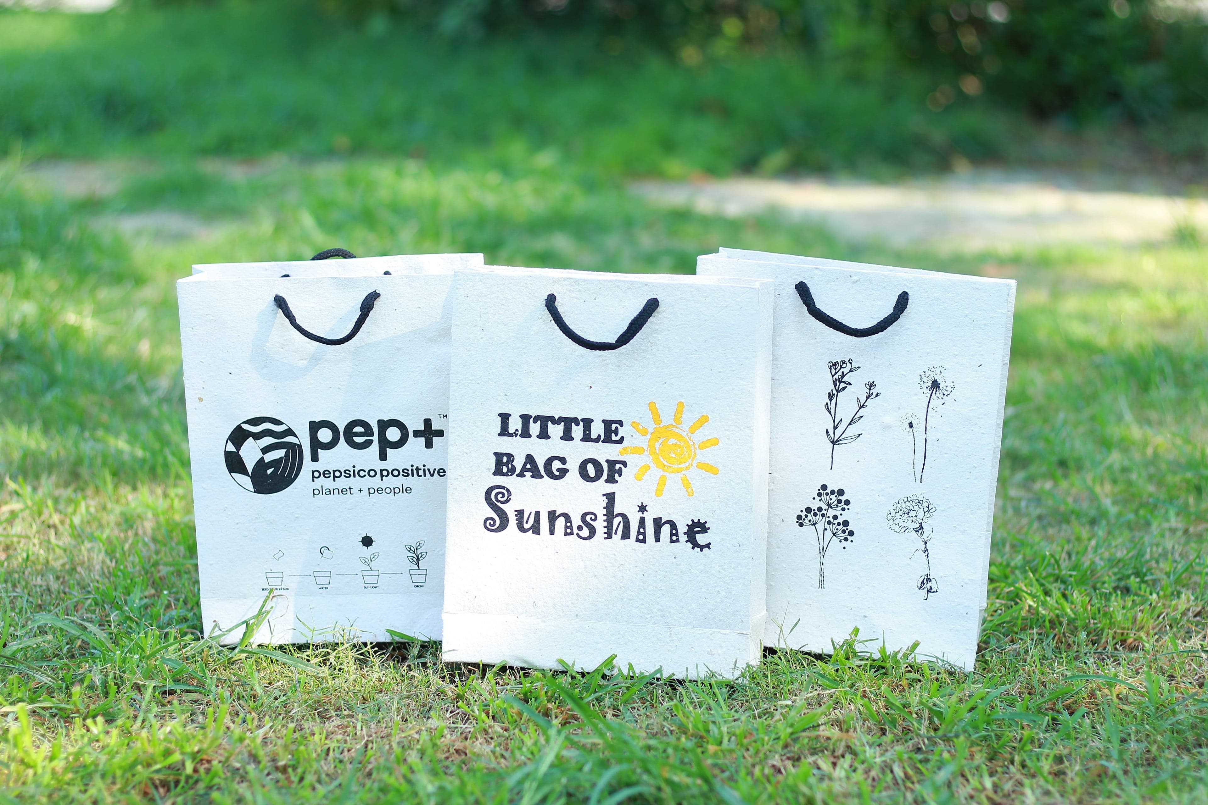 Plantable Gift Bags