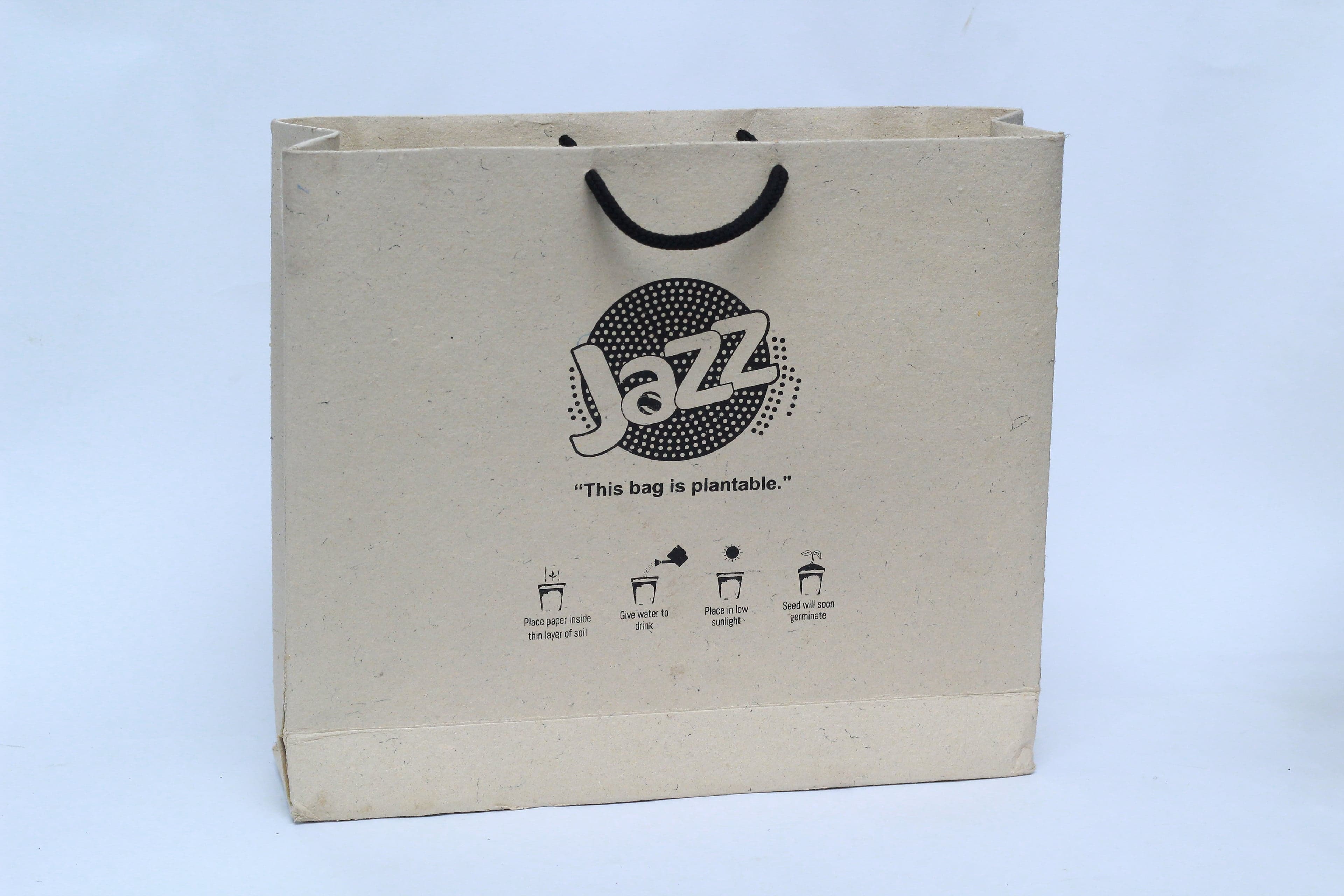 Branded Kraft Shopping Bags