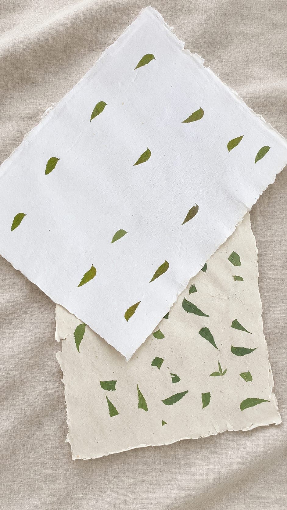 Neem Leaf Paper