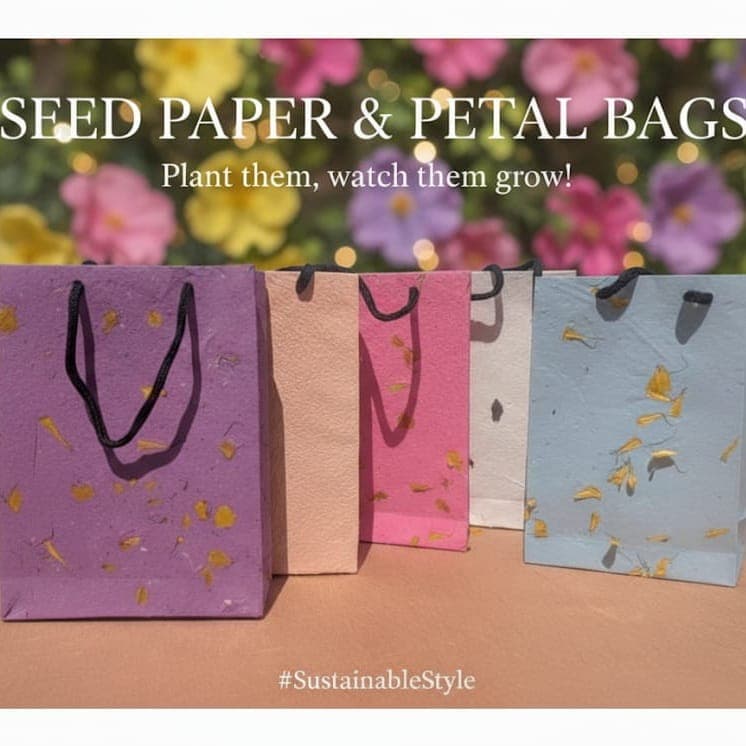 Bags & Sleeves