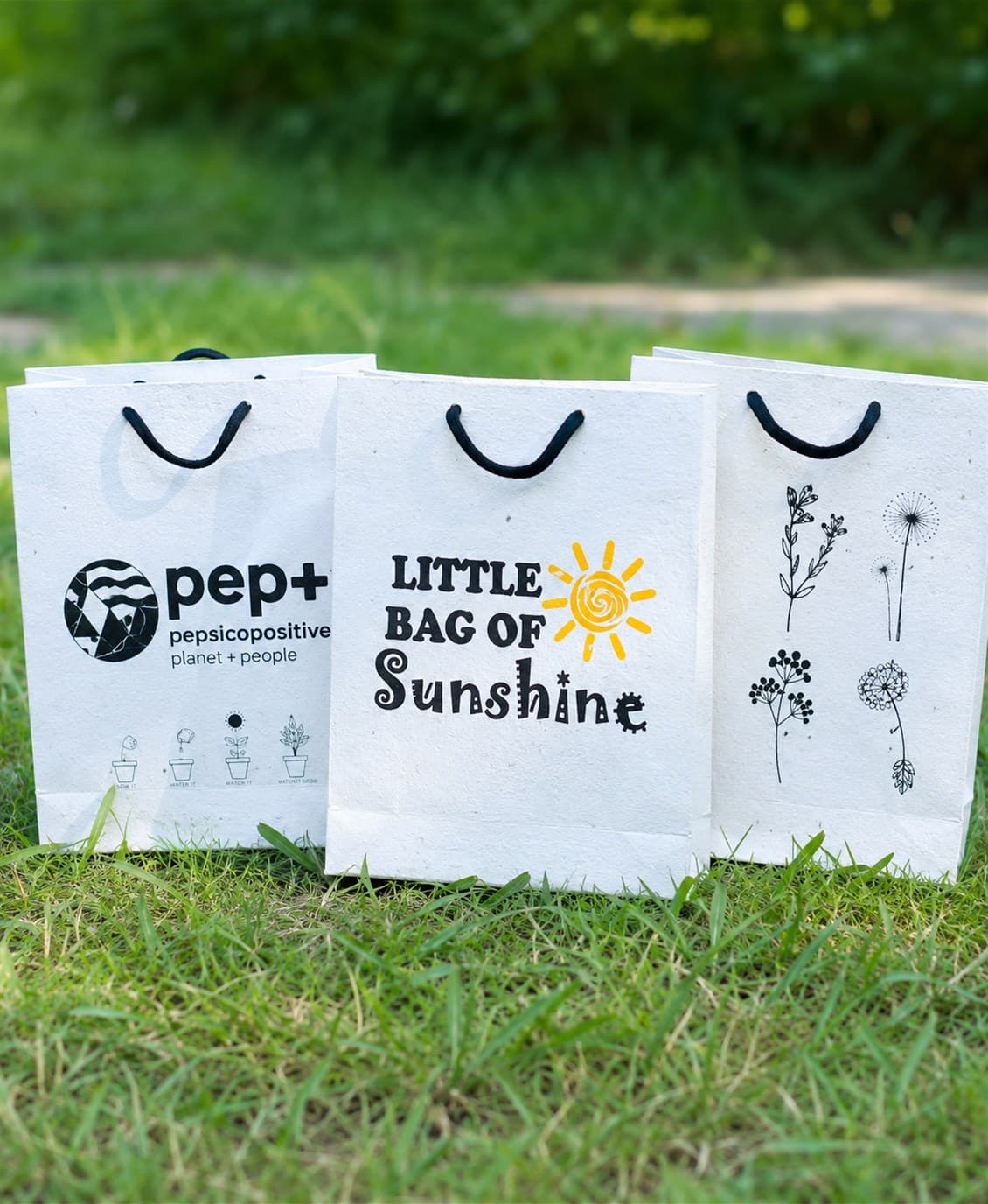 Branded plantable seed-paper corporate greeting cards and CSR campaign material displayed on easels
